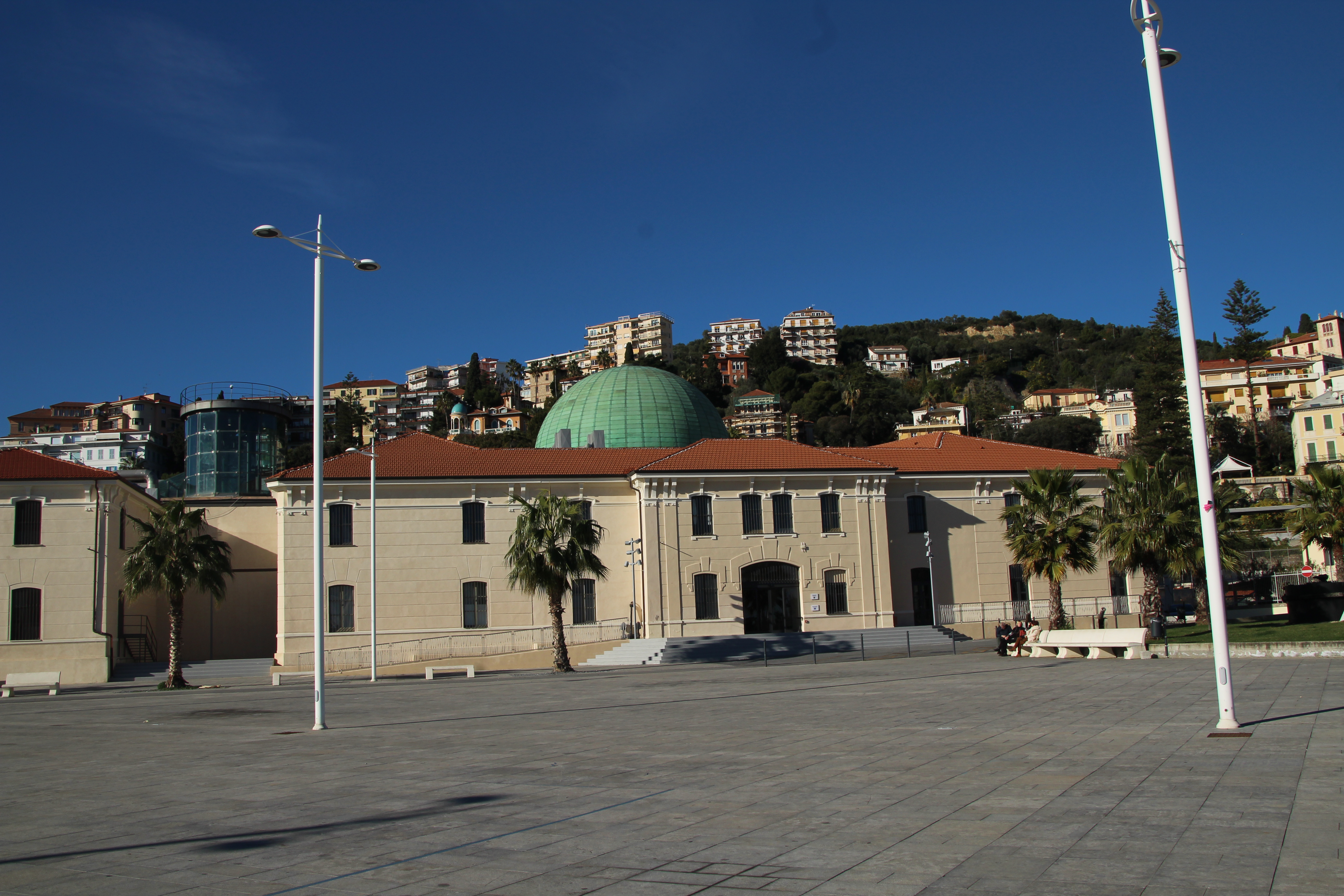 IMG_9887.jpg